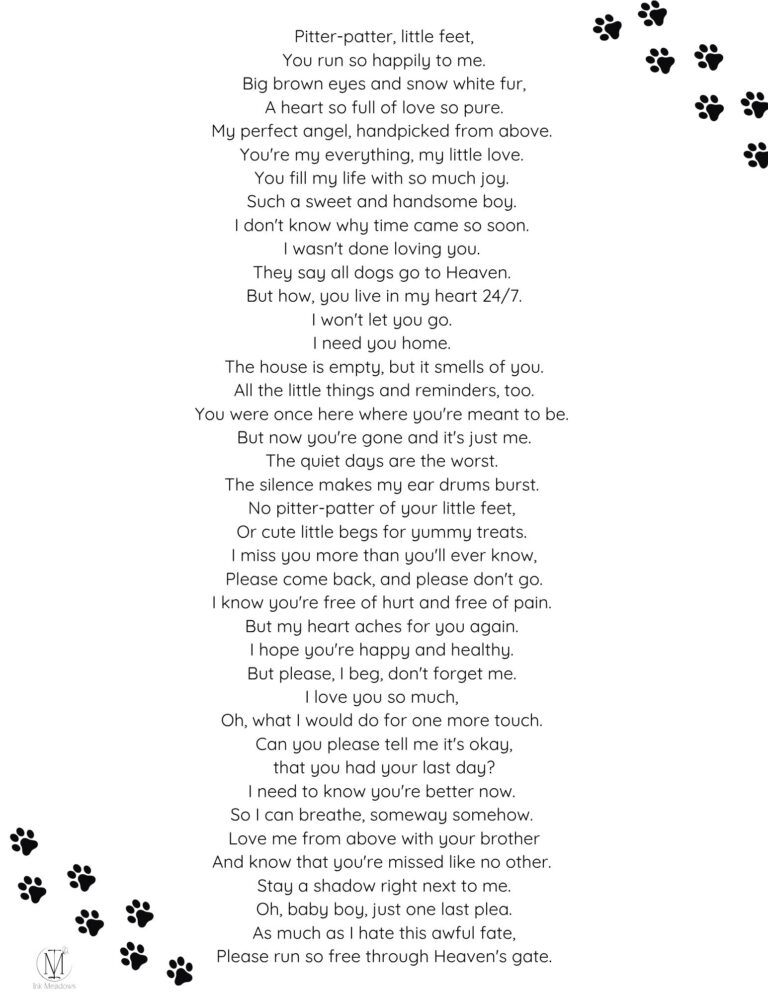 Pitter Patter Sample Poem